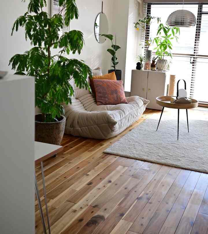 ナチュラルな木目調の床と明るいベージュのソファが配置されたリビング、緑豊かな植物と柔らかな自然光が調和する落ち着いた空間