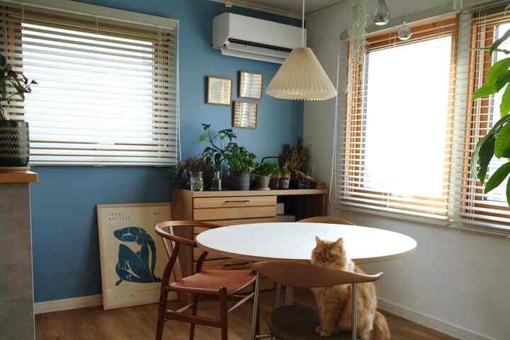 ブルーのアクセントウォールと木目調家具があるダイニング、丸テーブルの後ろに猫が座る雰囲気のあるインテリア