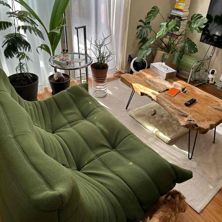 Natural color living room featuring a green Togo sofa, wooden coffee table, and several plants creating a warm atmosphere
