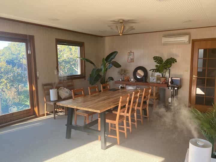 Beige-walled dining room with wood tone dining table, various plants, and long windows creating a natural atmosphere