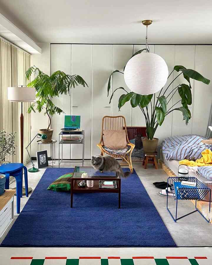 ブルーのラグと透明なガラステーブルがあるナチュラルなリビング、中央のテーブルに猫が座り落ち着いた雰囲気のインテリア