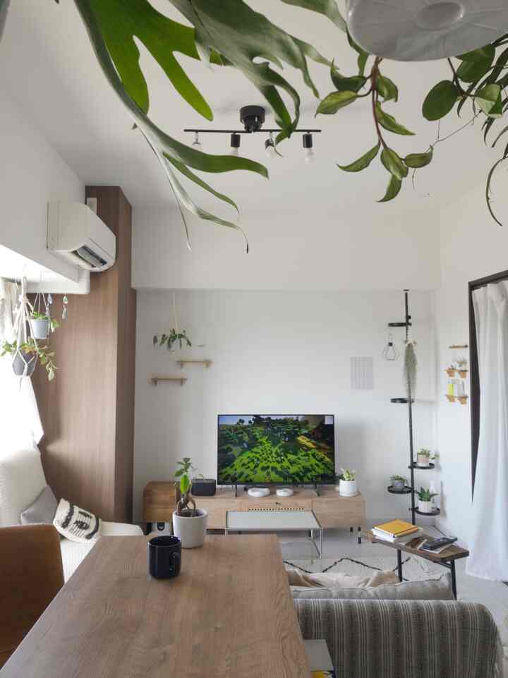 White-walled 1LDK living room with brown wooden furniture, plants, and a coffee table creating a cozy atmosphere