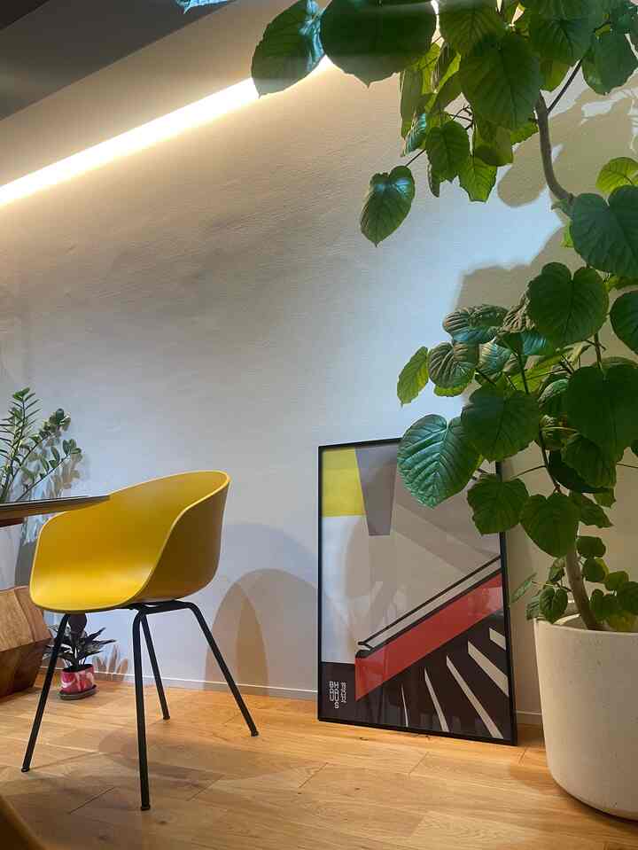 I saw the BAUHAUS poster in the last color that matched my home and jumped at it🥰
I would like to clutter up the wall a little more. #BAUHAUS