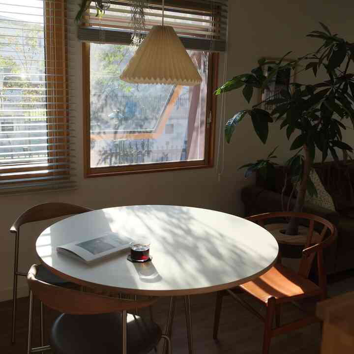 暖かいナチュラルカラーのダイニングルーム、白い丸テーブルと木製の椅子、大きな植物が配置された雰囲気のあるインテリア