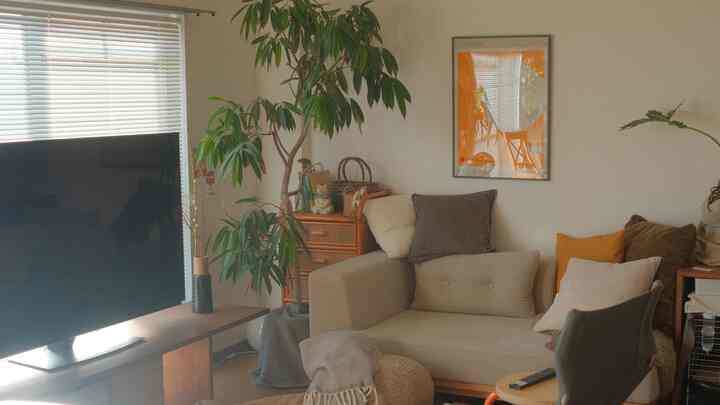 テレビ前に落ちてる白いモフモフ見えますかね？

#インテリア
#モフモフ
#うさぎのいる暮らし
#リビング
#観葉植物
#グリーン
#オレンジ