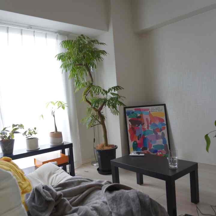 久々日差しが入った☀️
写真は逆光😂
#IKEA #トーゴ #インテリア #賃貸 #白インテリア