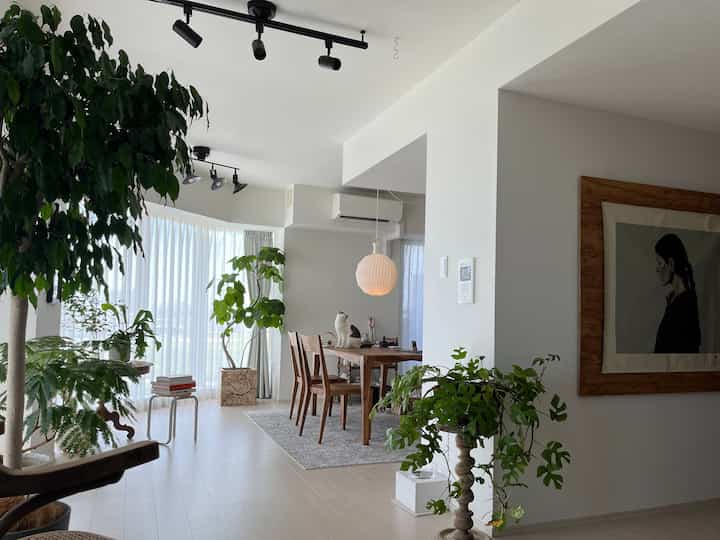 White walls and ceiling with natural wood dining table and plants arranged in a simple, natural dining room