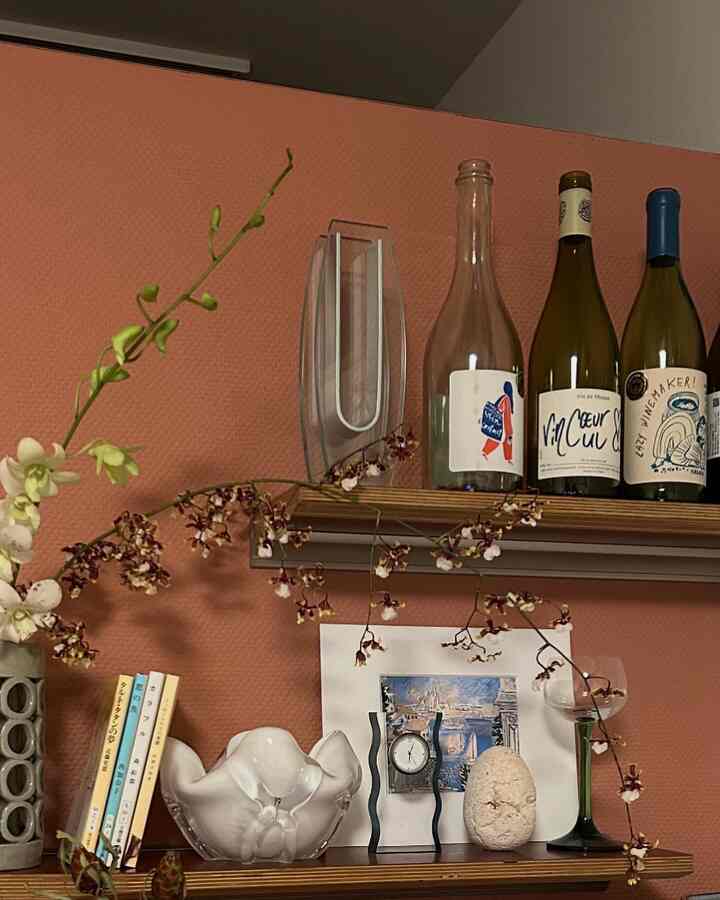 飲んだあとのナチュラルワインの瓶を飾ってる🍷
一番左のオレンジワインの瓶がお気に入り🫙

#ワイン #花瓶 #本棚 #ディスプレイ #飾り棚 #シェルフ #花のある暮らし 