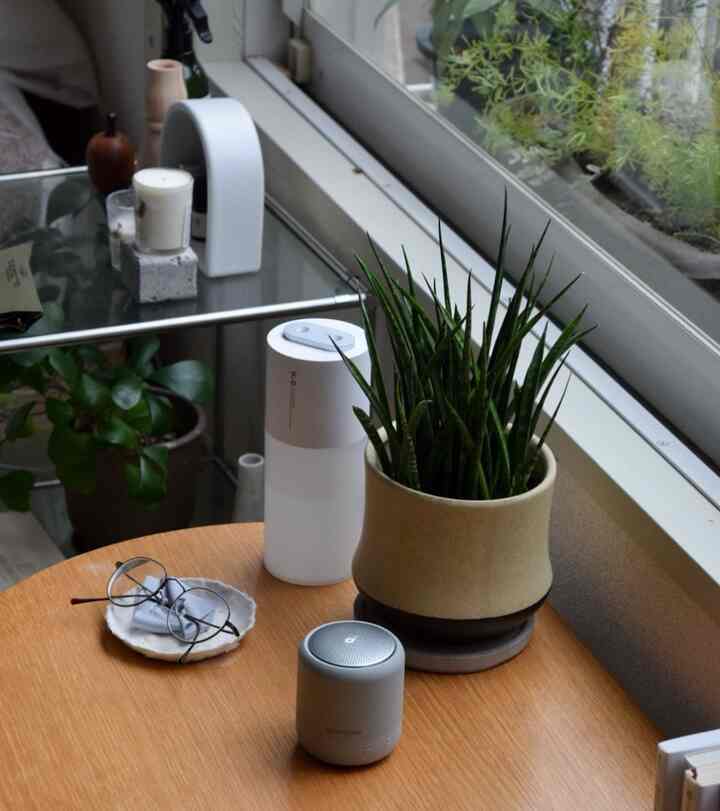 ナチュラルな木目調とホワイトが調和する窓際のスペースに植物とテーブル飾りが配置された雰囲気のあるインテリア