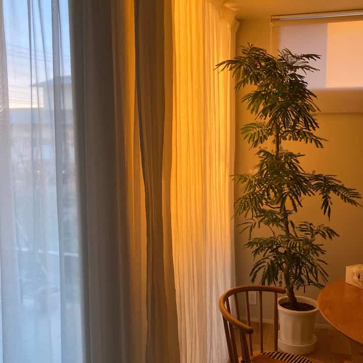 朝焼けが綺麗な日。

今の季節は
掃き出し窓から
朝日が綺麗に見えて
朝から
すごくパワーをもらえます♡🥰


#ダイニング #ダイニングチェア #アデペシュ #チェアパッド #ダイニングテーブル #円テーブル #観葉植物 #大型観葉植物 #エバーフレッシュ