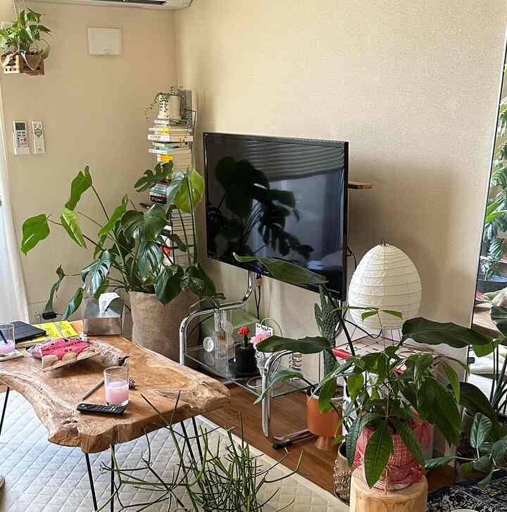 Beige and wood-toned living room featuring various green plants, a natural wood table, TV stand, and a table lamp creating a cozy natural atmosphere