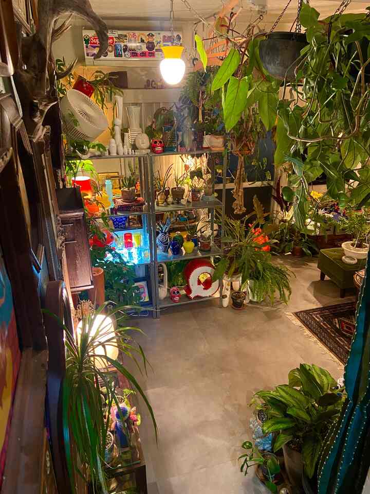 部屋の扉を外したので、入り口側から見下げアングルで👌

入り口からの視線の受けには、好きな植物やオブジェを配置したシェルフ。その両脇を囲むように、これでもかとデコレーションした壁と、ボリュームのあるグリーンを配置することで、視線が自然と特に行くように狙って配置しています◎
#ミッドセンチュリー #昭和レトロ #観葉植物インテリア #グリーンインテリア #多国籍インテリア #リビングインテリア #リビング #書斎