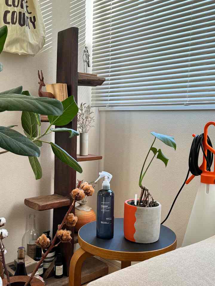 グリーンたちの葉っぱもリフレッシュ🌱

#グリーン #リーフクリーナー #無印良品