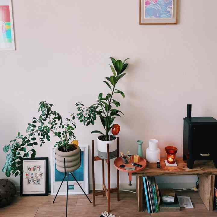#観葉植物 #アロマ #加湿器