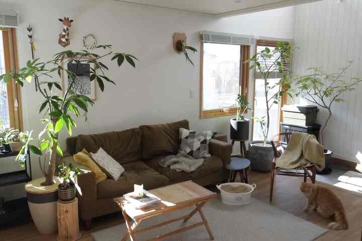 A bright living room featuring white and natural wood tones, brown sofa, abundant plants, and a wall poster, creating a cozy natural atmosphere