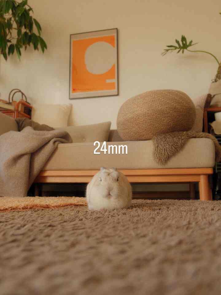 新作のぬいぐるみです。

#ikea
#イケア
#リビング
#うさぎ
#ペット
#インテリア
#賃貸