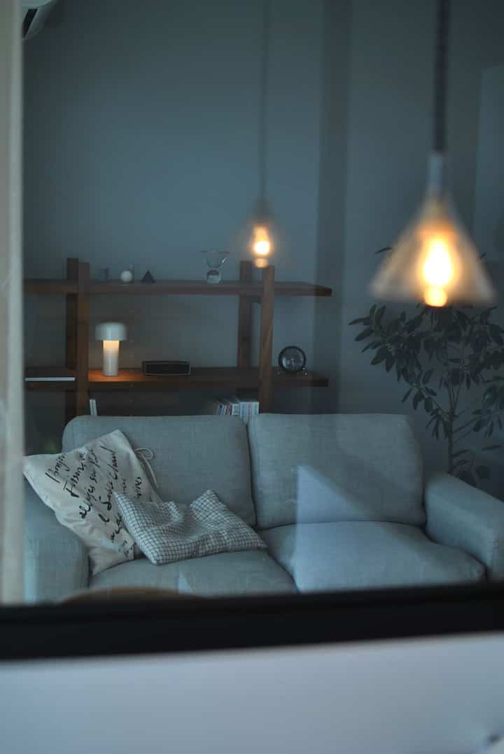 Natural-tone living room featuring a gray sofa, wooden bookshelf, cozy pendant and table lighting, and a large leafy plant