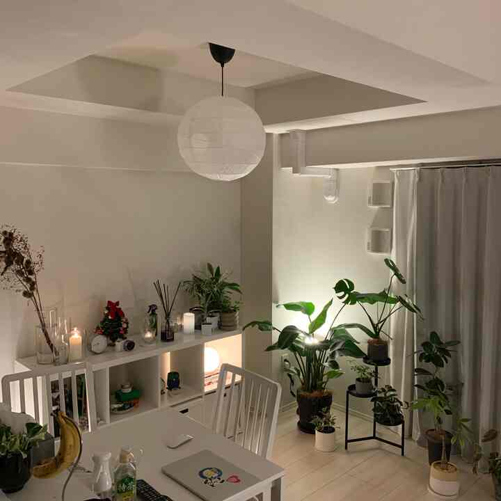 少し前のお部屋
夜は間接照明つけまくります
#IKEA #間接照明 #インテリア #観葉植物 #白インテリア　