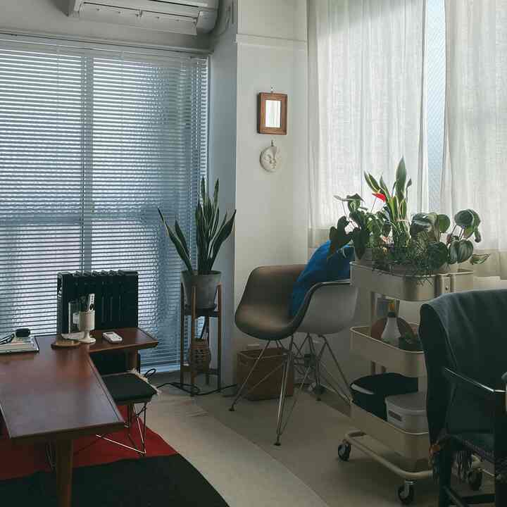 Natural color toned modern living and dining space featuring plants, armchairs, and a kitchen cart with a cozy atmosphere