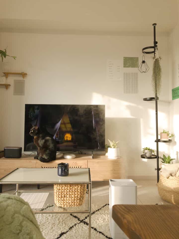 White and wood tone 1LDK living room featuring a cat on the TV stand and posters on the wall in a simple setting