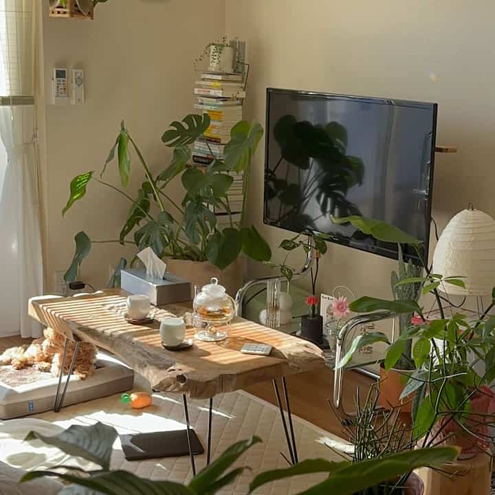 日の当たるリビングは大好き
#ブックタワー
#イサムノグチ