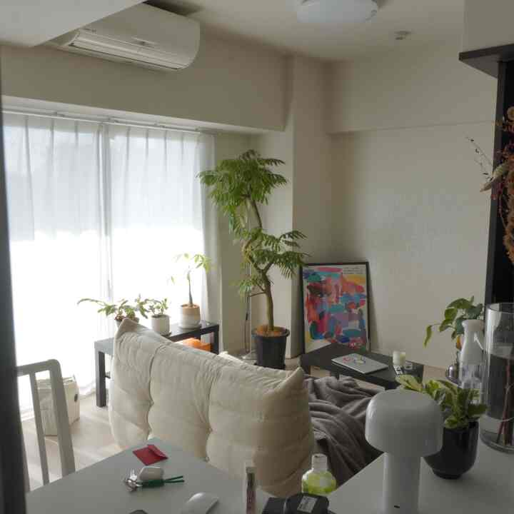 キッチンから見るリビング

#インテリア
#賃貸インテリア
#観葉植物
#トーゴ
#白インテリア
#IKEA
#2人暮らし
