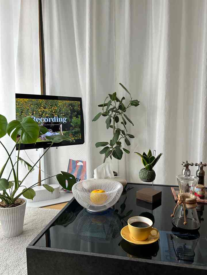 可愛い苔玉ちゃんが我が家に！
地球環境に優しい和紙糸で作られたお洋服を着ているのよ〜🥹🪴
毎日愛てます♡

#苔玉 #観葉植物 #ミッドセンチュリー 