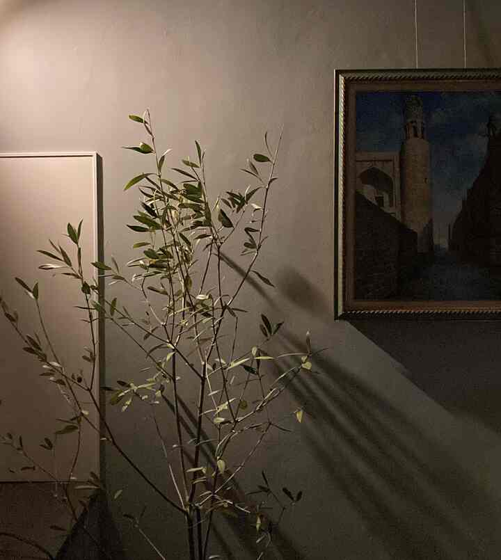 クリップライト使ってます？

テレビの裏、ベッドの下、ソファで隠れるような所に置くだけ、隙間から光が漏れてめちゃくちゃ良い間接照明になるのでおすすめ！
#クリップライト
#間接照明
#ワイヤーフック
#かわいい
#モダンインテリア 