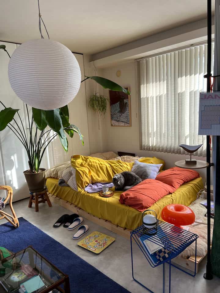 Yellow and orange toned bedroom with large indoor plants and a cat on cozy bedding