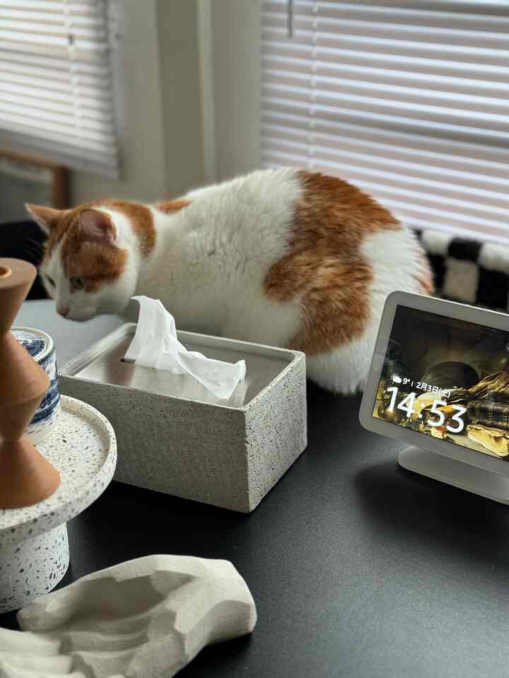 #一人暮らし
#一人暮らし部屋 
#インテリア小物 
#猫と暮らす
#猫とインテリア
#1LDK