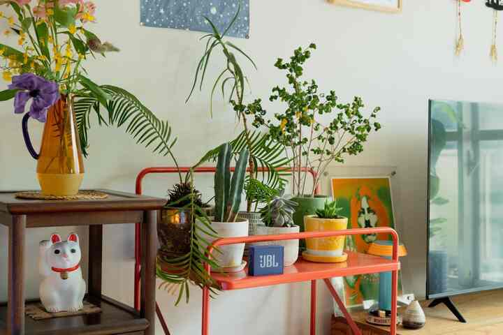 Natural color toned living room corner featuring various potted plants on a red plant stand creating a cozy green spot