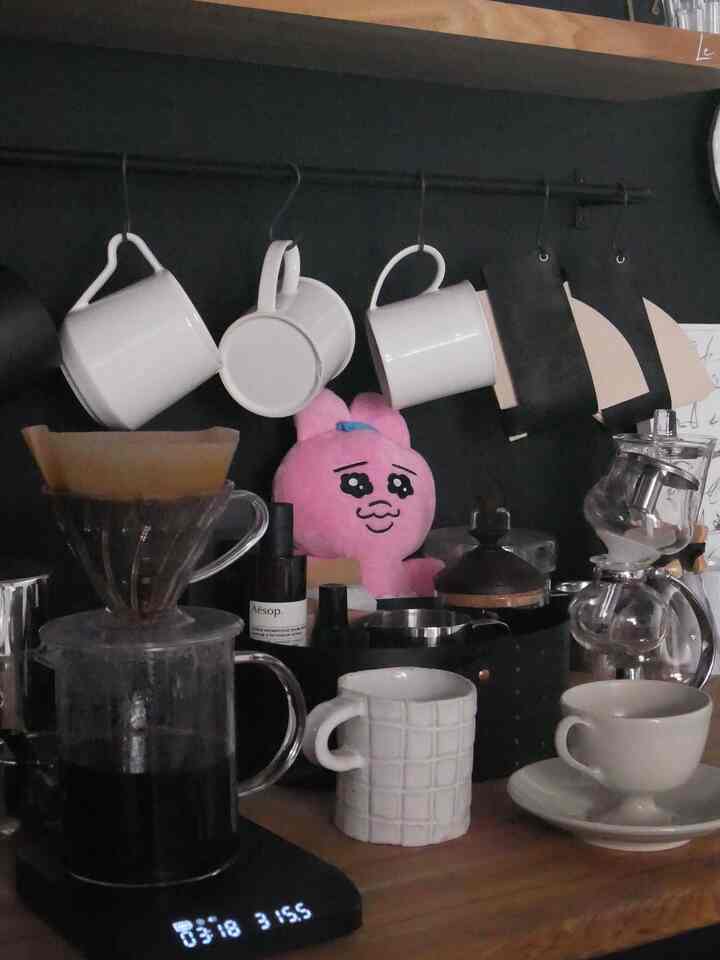 #おぱんちゅうさぎ
#kopi