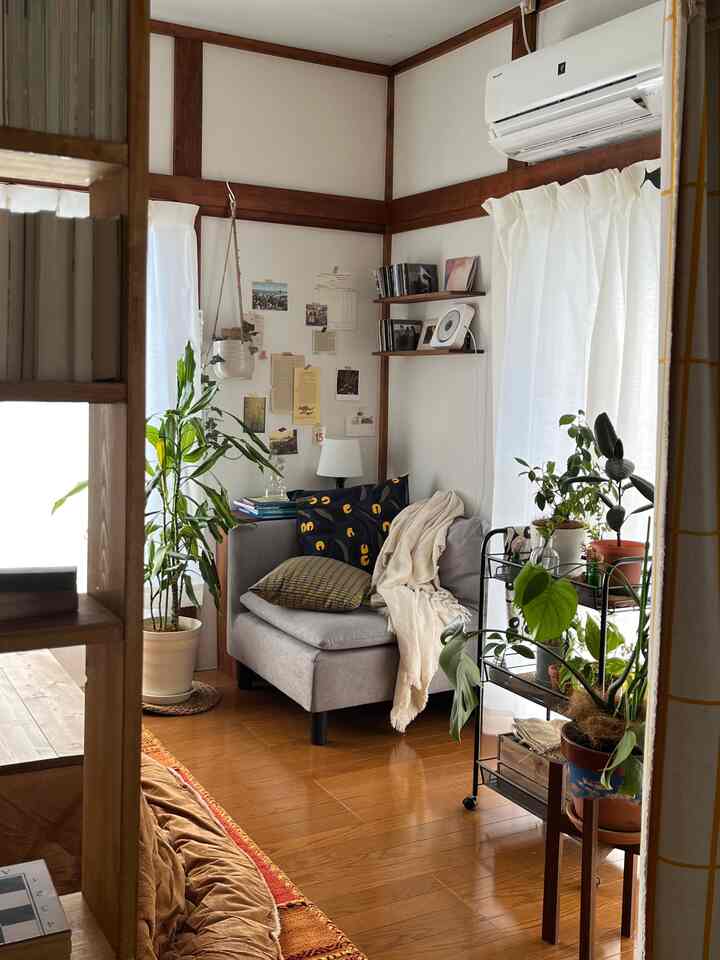 Natural brown and gray toned single living room featuring multiple plants with a warm, cozy atmosphere