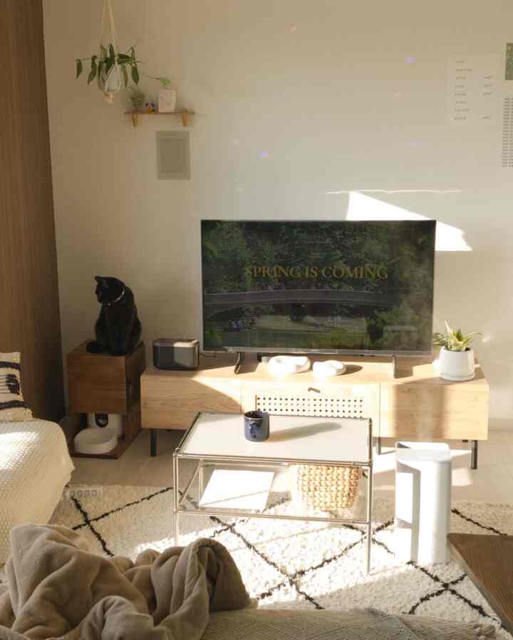 白と木目調が調和した1LDKのリビング、サイドテーブルに黒猫が座る雰囲気のある空間