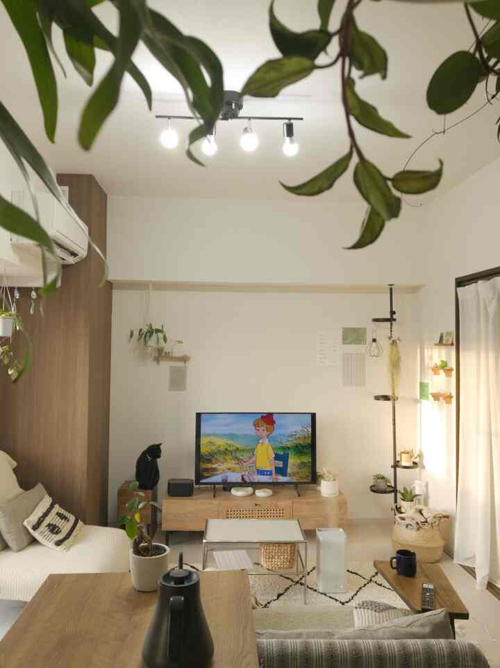 ホワイトの壁と木目調家具が調和する1LDKのリビング、植物とペットの猫がいる自然な雰囲気の空間