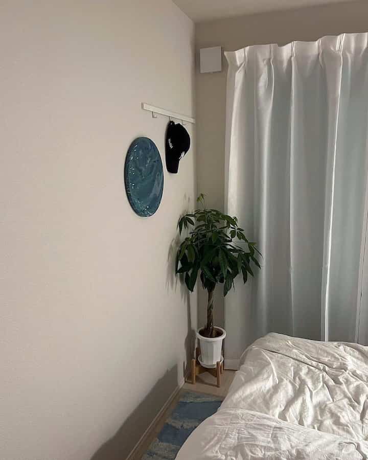 寝室はブルーベースにしています。

 #観葉植物 #ガーデンタイム #ガーデニング #パキラ #ふるさと納税 #北欧 #韓国 #インテリア #フラワースタンド #スタンド