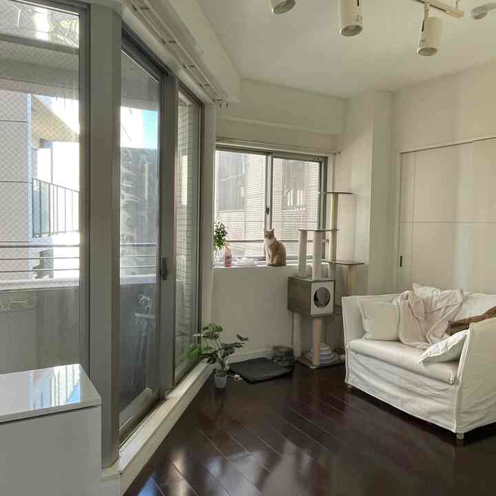 #一人暮らし #猫と家 #韓国インテリア #韓国風 # #シンプルな暮らし #モノトーンインテリア #賃貸 #新築 #引っ越し #新居 #ホワイトインテリア #モノトーンインテリア  #モルタル　