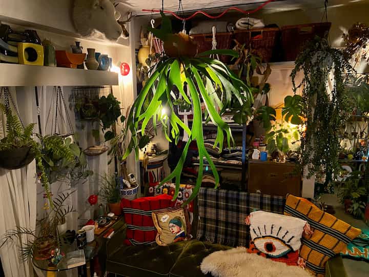 緑豊かな植物とビンテージのミッドセンチュリーモダンスタイルが調和した、温かみのある照明のリビング空間