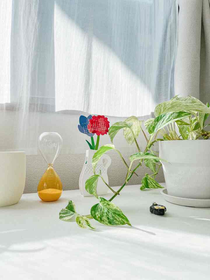 お花の卓上カレンダー🌷🗓️ 毎月新しいお花をながめて楽しめるのが気に入っています🫶機能性も見た目もいい〜〜！

#カレンダー #卓上カレンダー #シンプルインテリア #北欧インテリア #観葉植物のある暮らし