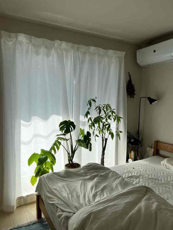 天気のいい日は観葉植物を日向ぼっこさせています☀️

 #観葉植物 #ガーデンタイム #ガーデニング #パキラ #モンステラ #北欧 #韓国 #インテリア #フラワースタンド #スタンド #間接照明