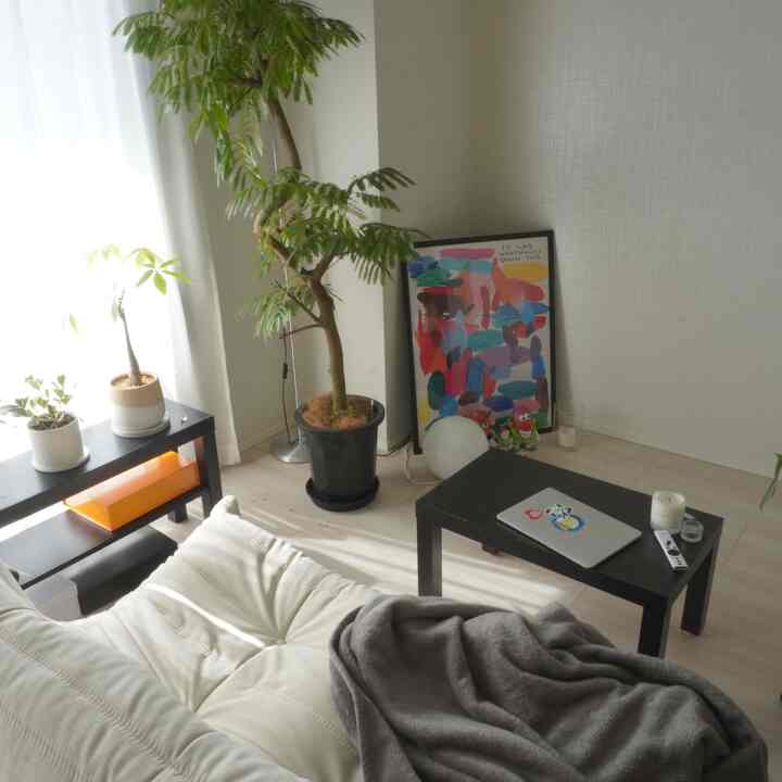 昨日も気づいたらトーゴで寝てました💤
#IKEA
#トーゴ
#インテリア
#賃貸
#2人暮らし
#観葉植物
#エバーフレッシュ
