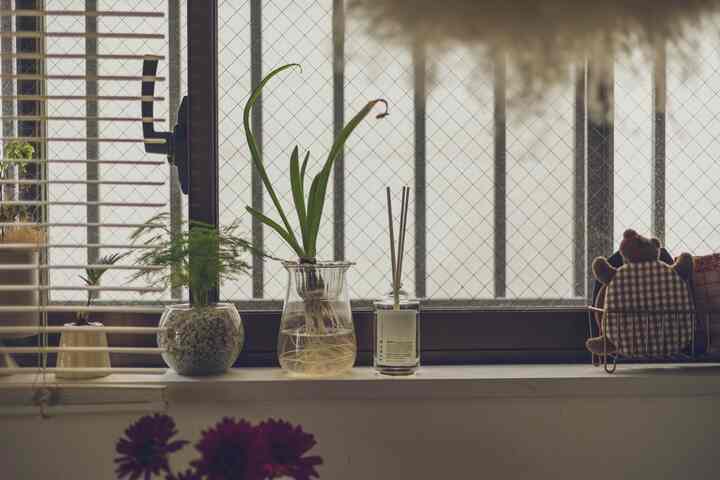 🪴🪴🌼

Setelah mengosongkan botol track hair oil, akhirnya saya turunkan diffuser yang ada di kotak kado 🙌

Wangi osmanthusnya cuma ada di kotaknya, tapi enak banget 😌💛

Sesampainya di rumah, kamarku wangi dan membuatku bahagia🌼*･

#penyebar
#BUTA 
#sisi jendela
#Interior alami
