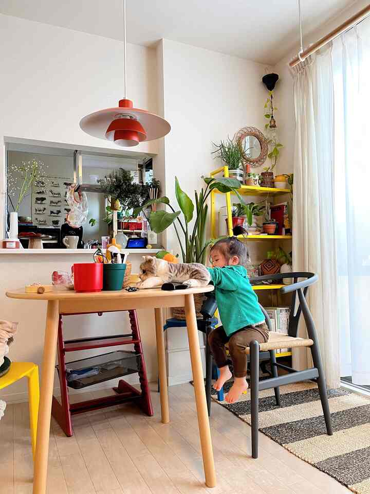 ナチュラルな木目調の明るいキッチンダイニング空間、子供がダイニングチェアに座り猫と触れ合う温かみのあるインテリア