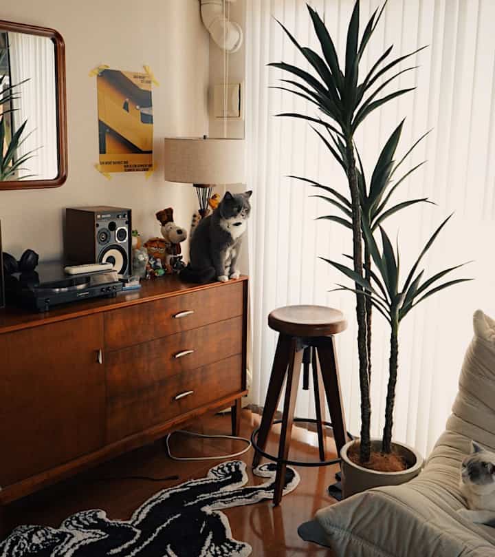 Warm wood tone and beige mid-century modern living room featuring two cats in a cozy space