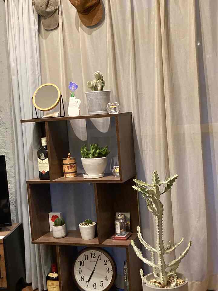 Do you like cacti?

#open rack
#open shelf
#Sashiiro
#Beautiful interior