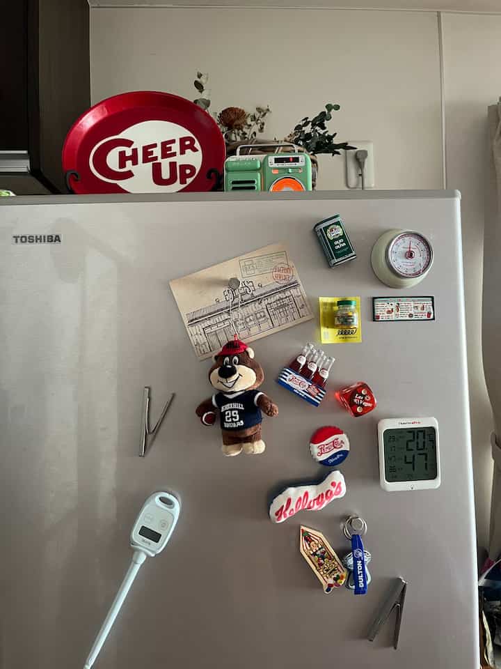 シルバーの冷蔵庫の前面に多彩なマグネットとキッチン用品が配置された1LDKのキッチンの雰囲気あるインテリア