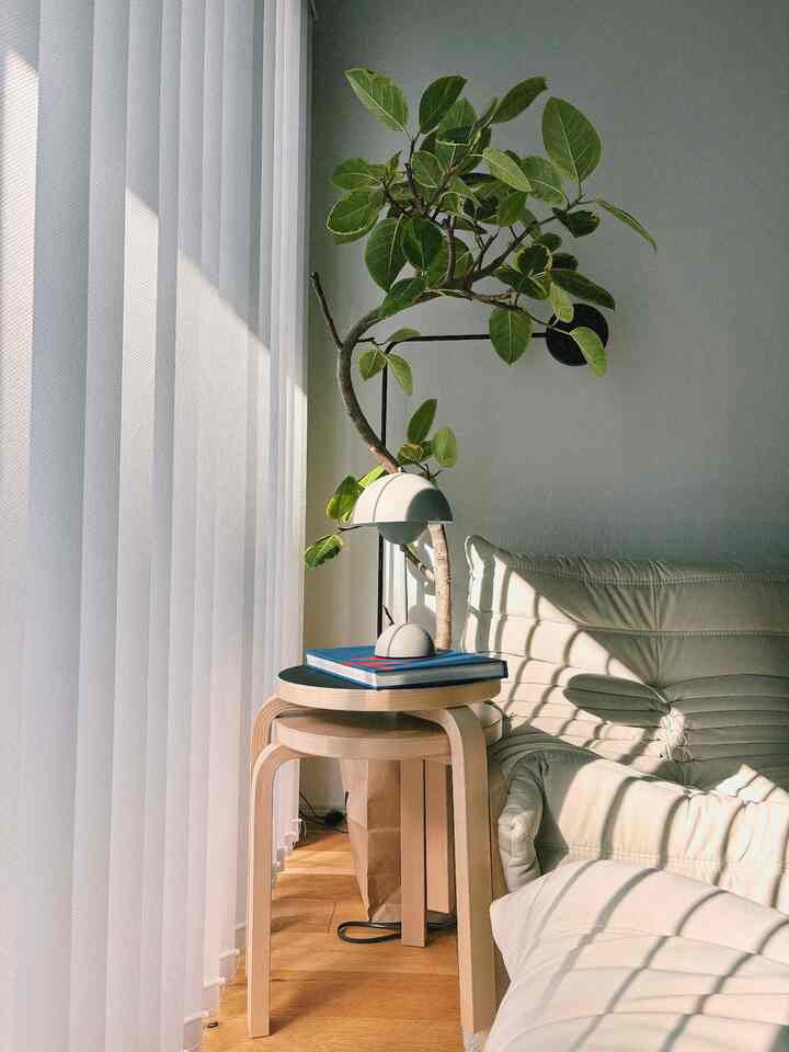 Ini saat yang tepat untuk tidur siang 🤤🤤
#pot bunga #&Tradisi #北欧インテリア #北欧スタイル #北欧モダン