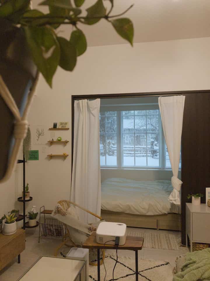 白と木目調の1LDKアパートのリビングと寝室、プロジェクターと植物が配置された落ち着いた雰囲気のインテリア