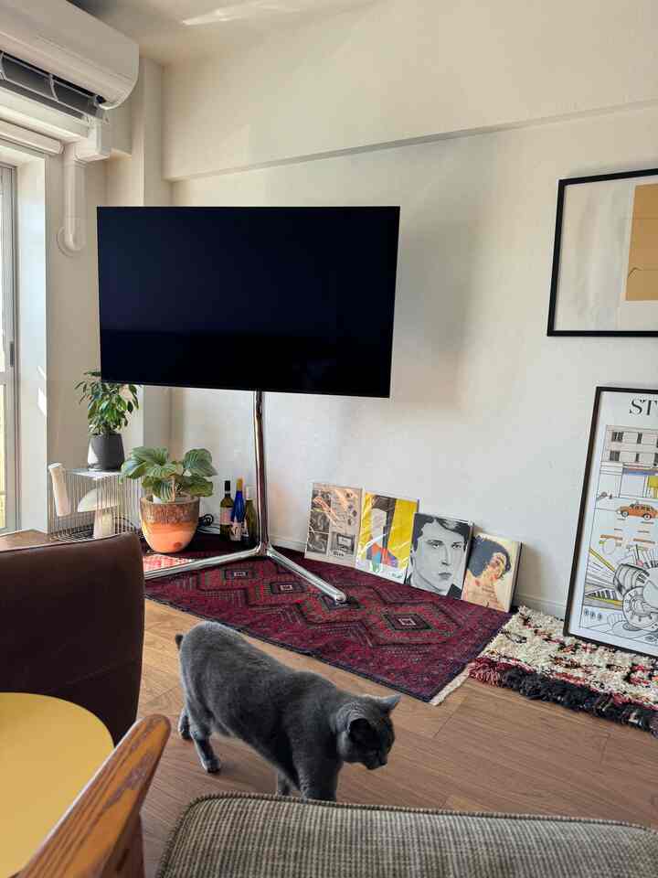 ナチュラルなブラウンのリビング、テレビ台と植物、赤いラグが配置された雰囲気のあるインテリア