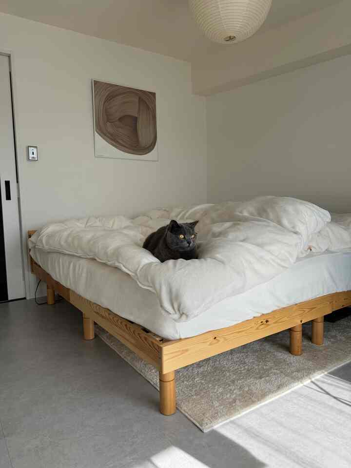 Natural wood tone and white bedroom featuring a comfortable bed with a cat, showcasing a minimal and modern space